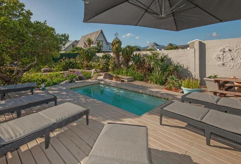 بنسيون Absolute Ocean Boutique Guesthouse