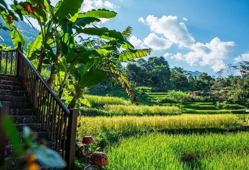 هتل Pu Luong Jungle Lodge