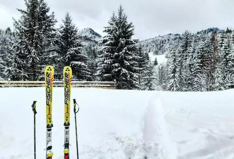 Majatalo Cabana Căsaru