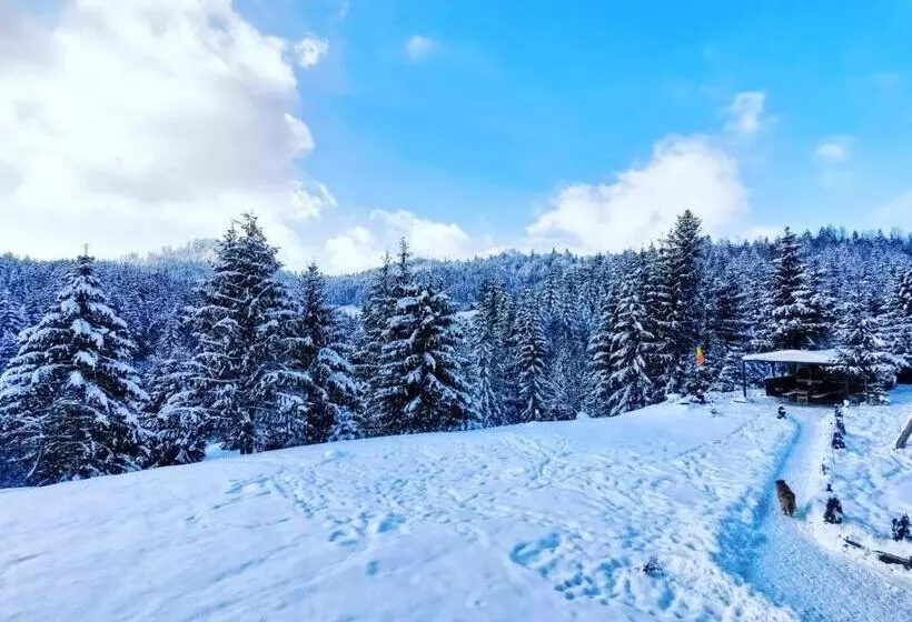 Majatalo Cabana Căsaru