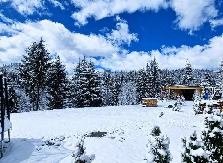 Majatalo Cabana Căsaru