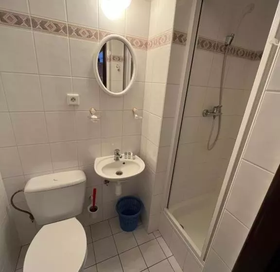 پانسیون Bílá Labuť Horský Hotýlek