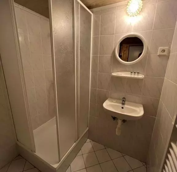 پانسیون Bílá Labuť Horský Hotýlek