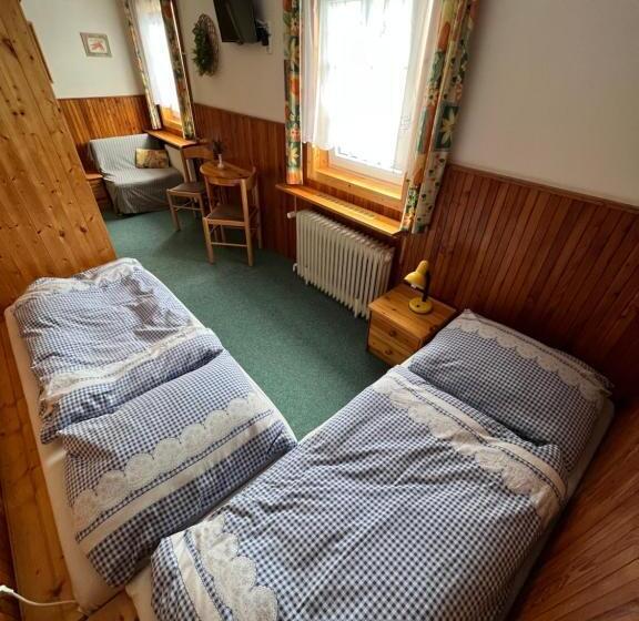 Пансион Bílá Labuť Horský Hotýlek