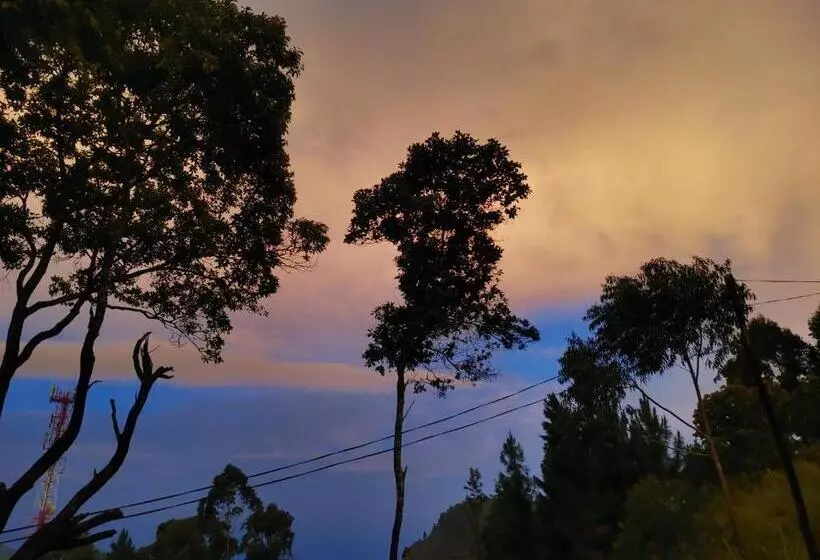 ベッドアンドブレックファースト Mountain Peak Ella