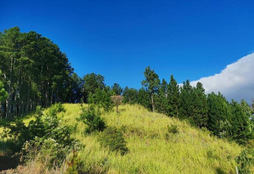 住宿加早餐 Mountain Peak Ella