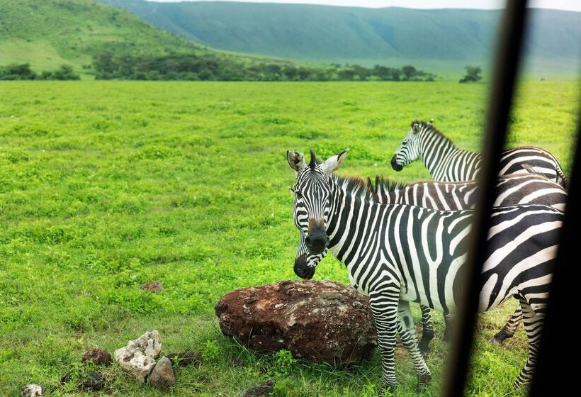 فندق Ngorongoro Lodge Member of Meliá Collection