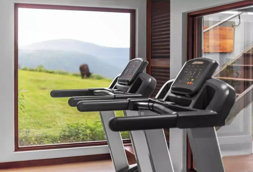 هتل Ngorongoro Lodge Member of Meliá Collection