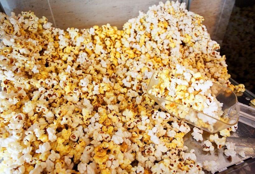 Motel Paju Cinderella