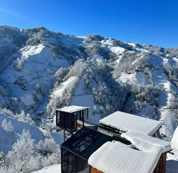 Lomakeskus Northland Bungalows