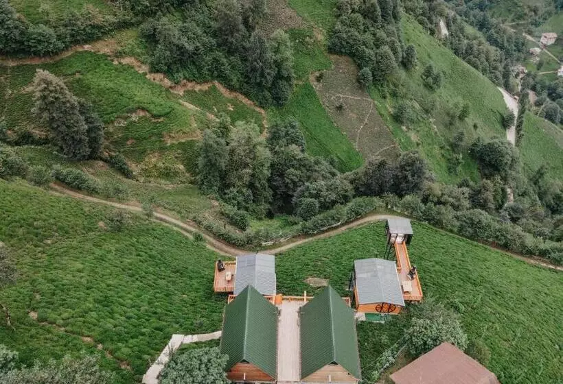 Lomakeskus Northland Bungalows