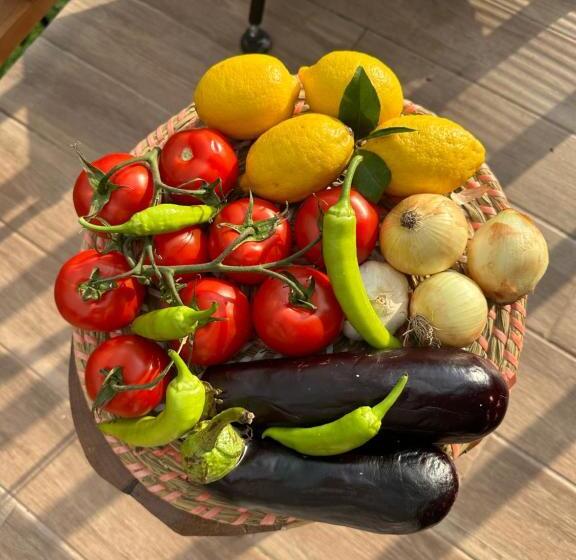 منتجع Northland Bungalows