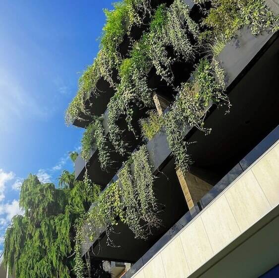 هتل Bamboo Garden