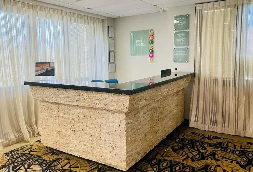 هتل Ficus