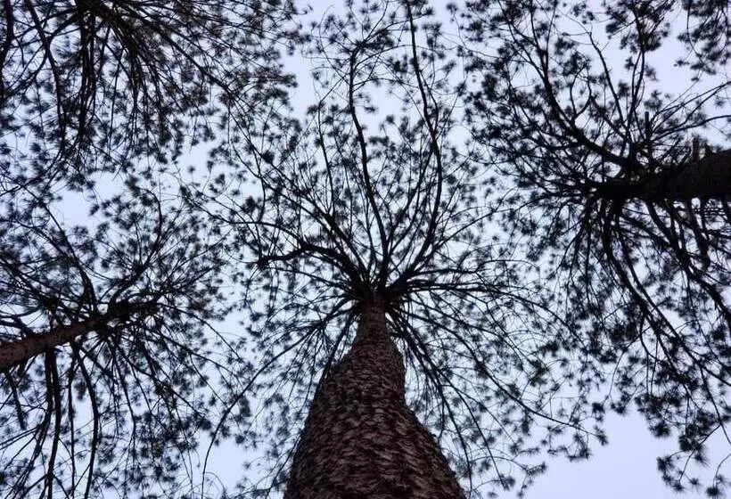 ホテル Glamping Rio Valle De Bravo