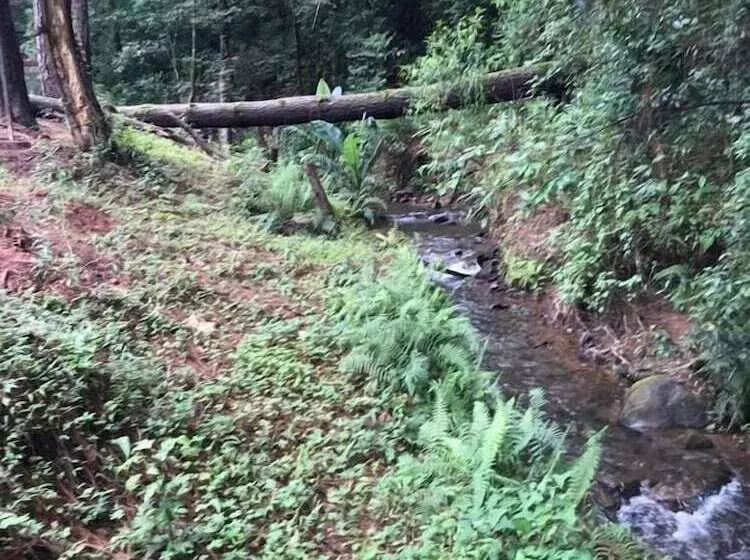 ホテル Glamping Rio Valle De Bravo