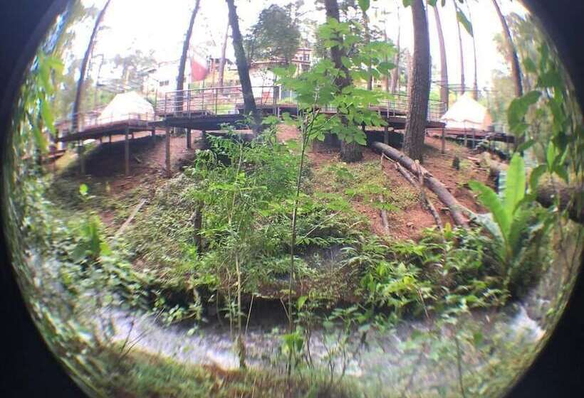 בית מלון כפרי Glamping Rio Valle De Bravo