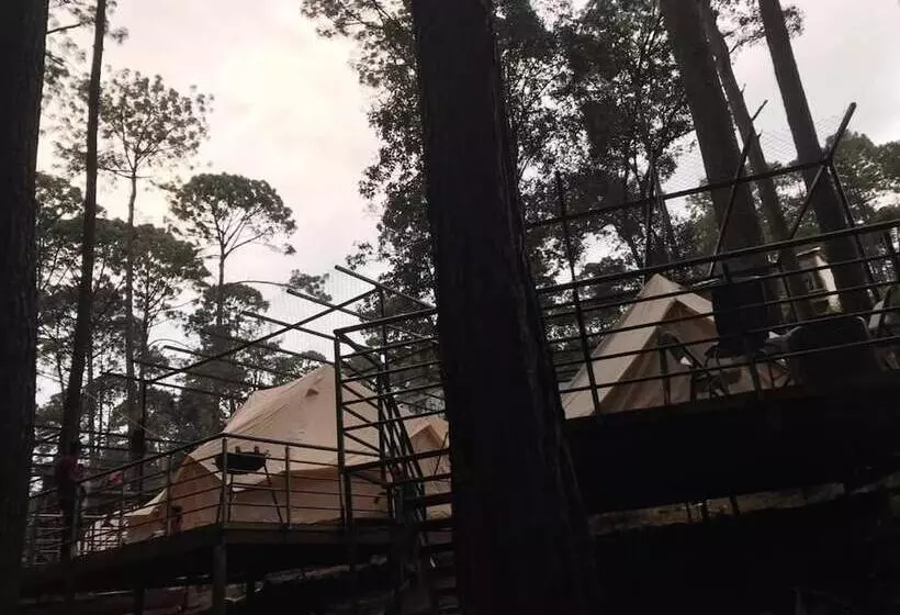 ホテル Glamping Rio Valle De Bravo