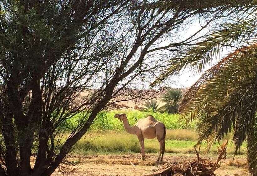 هتل Qasr El Bagawat Eco Lodge