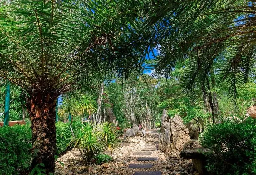 ホテル Saline Hot Spring Resort