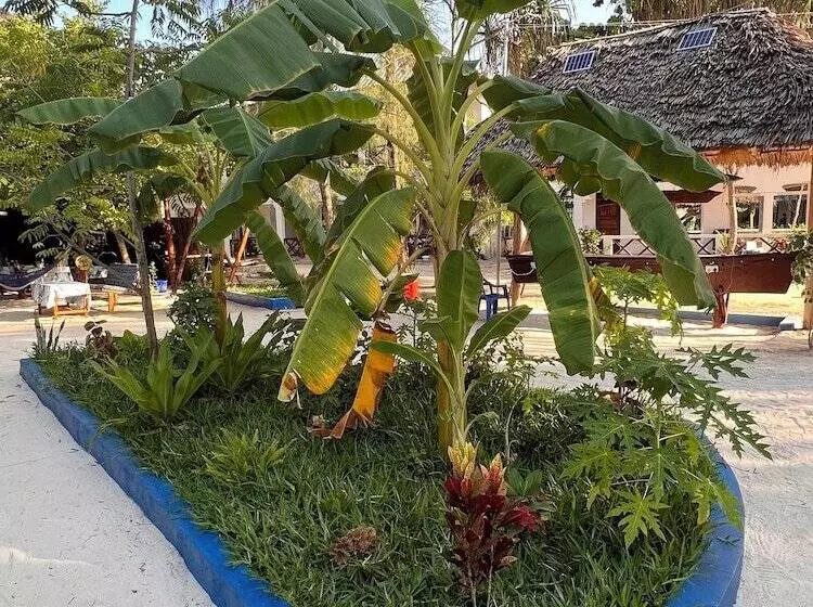 Hotelli Nungwi Beach Front