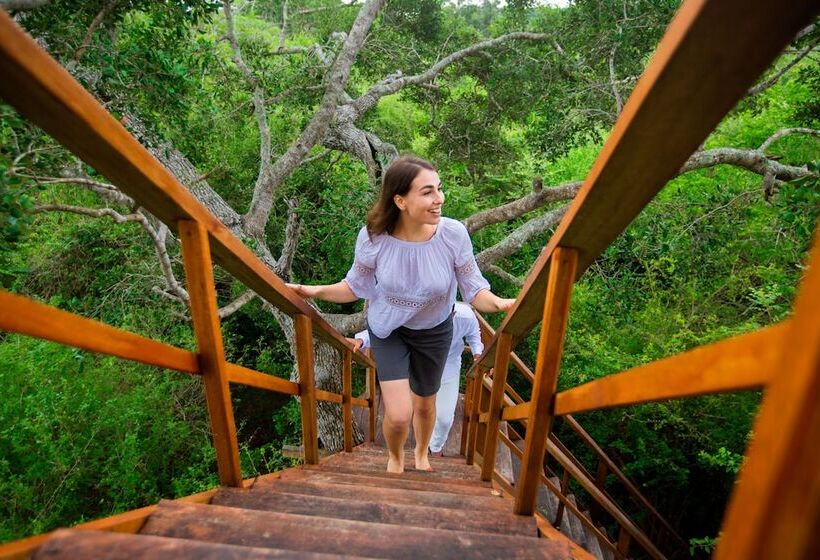 Отель Tribe Yala Luxury Camping