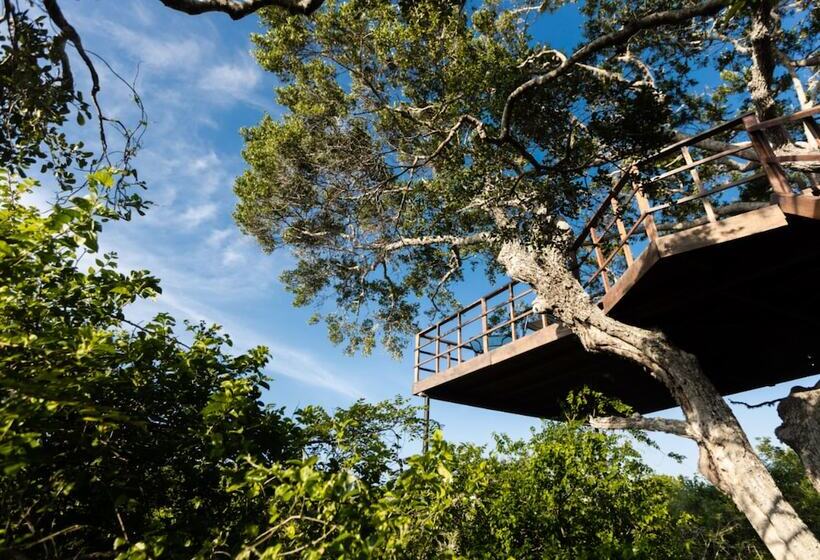 Отель Tribe Yala Luxury Camping