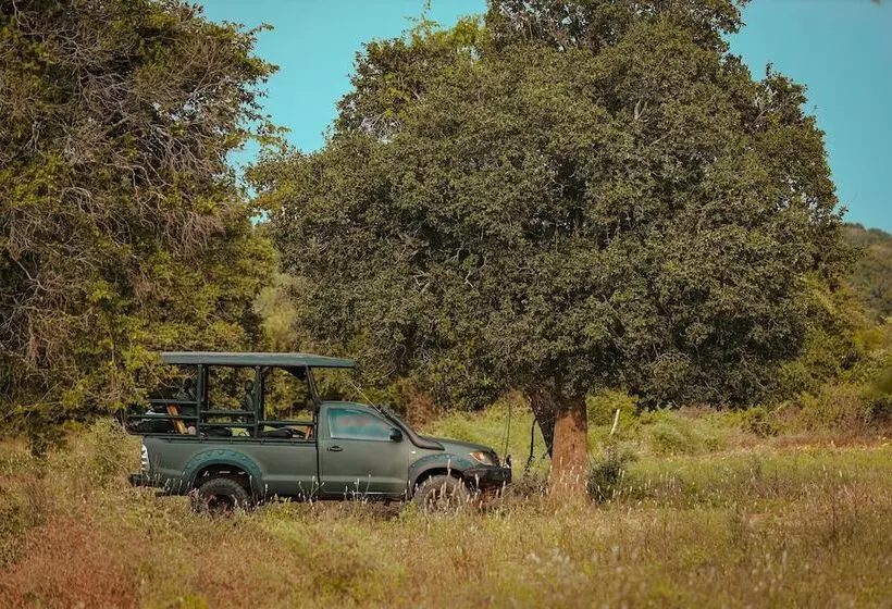 هتل Tribe Yala  Luxury Camping