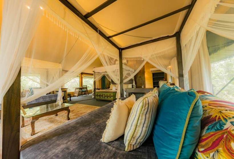 Отель Tribe Yala Luxury Camping