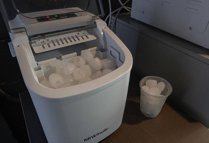 Motel Voice The Zara Drive In