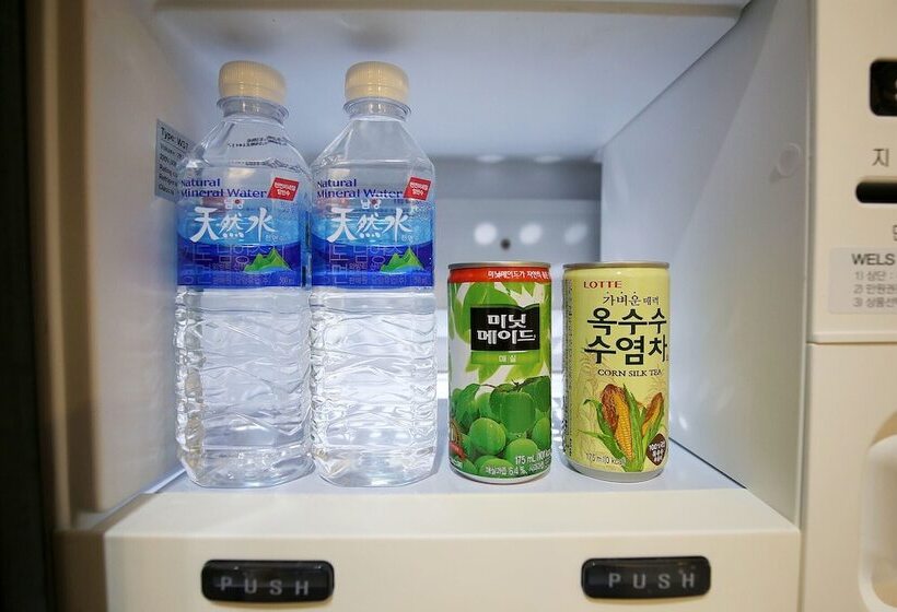 Motel Voice The Zara Drive In