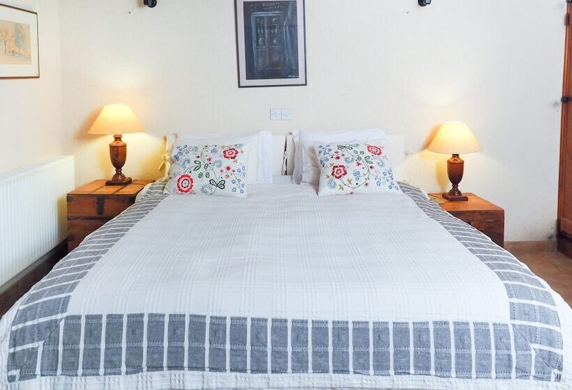 ペンション Adamos Studio Hotel Apartments