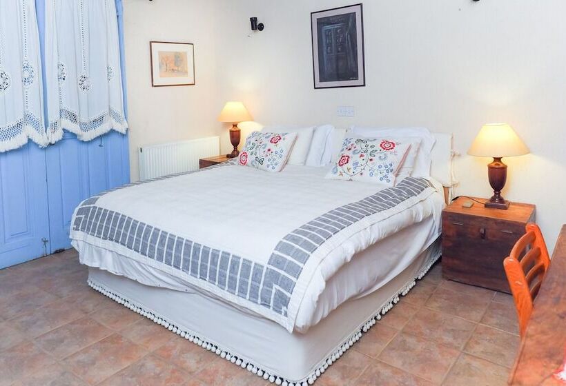 ペンション Adamos Studio Hotel Apartments