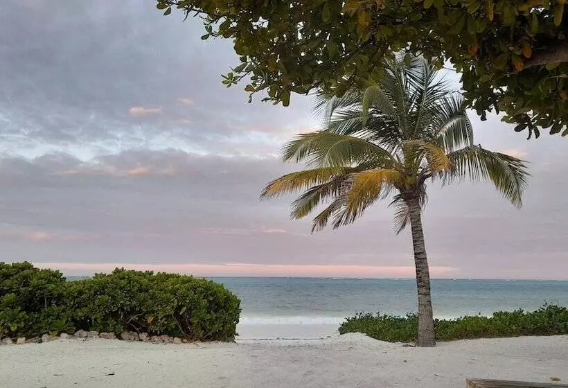 Lomakeskus Kijani Beach Villas