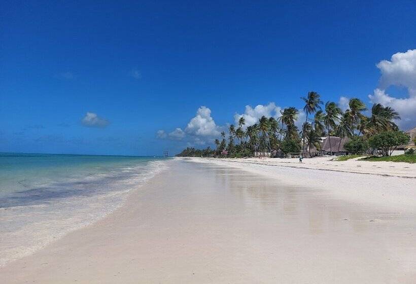 渡假胜地 Kijani Beach Villas