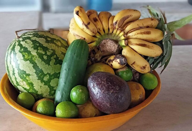 渡假胜地 Kijani Beach Villas