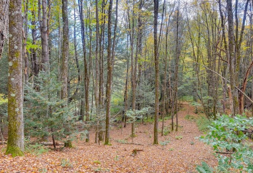 Charming Putney Home: Porch, Grill & Hiking Trails