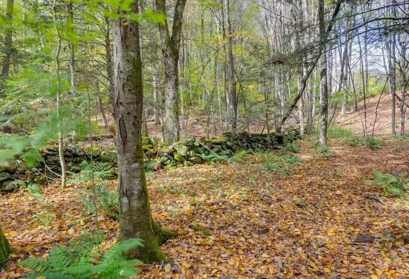 Charming Putney Home: Porch, Grill & Hiking Trails