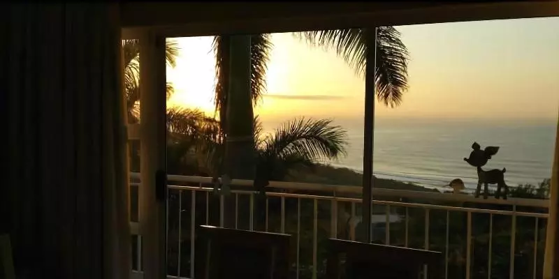 ホテル Acacia Crescent Seaview Manor