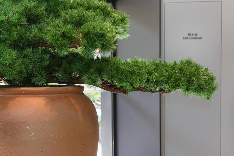 Ji Hotel Shanghai People S Square Beijing West Road