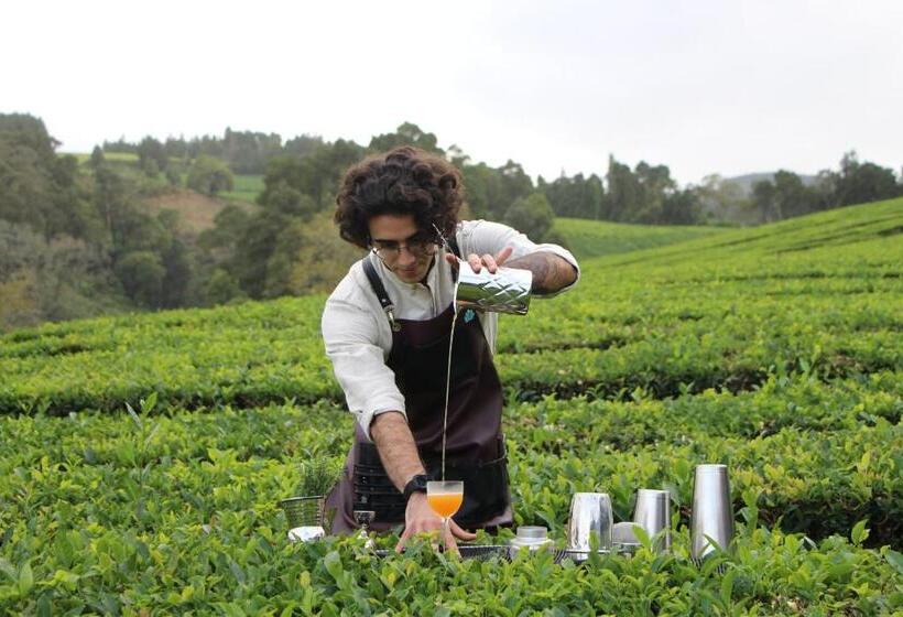 هتل Nine Dots Azorean Art Boutique