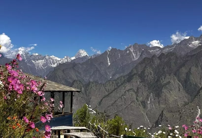 هتل Blue Poppy Resort