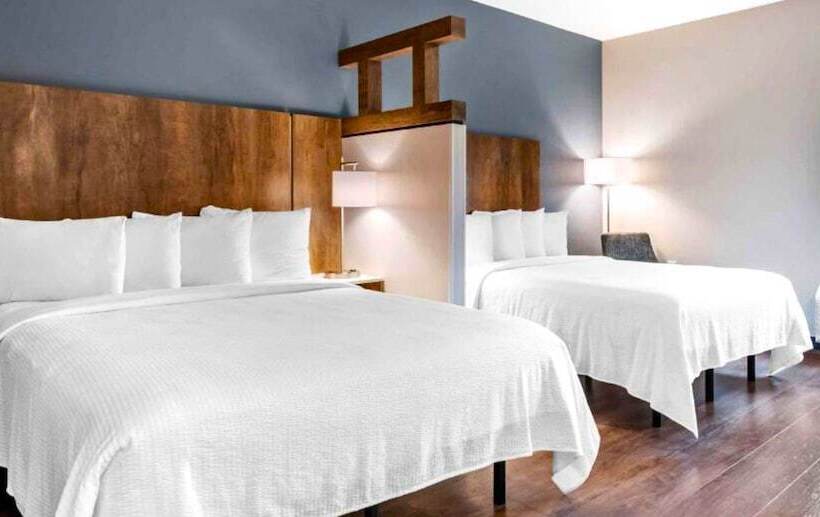 酒店 Extended Stay America Premier Suites Fort Myers Airport