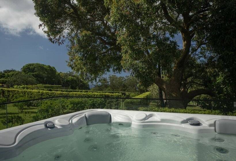 هتل روستایی Quinta Dos 10