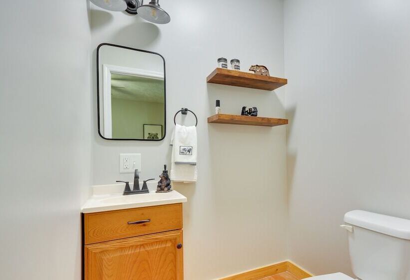 Mtn View + Fire Pit: Pet Friendly Woodlawn Cabin!