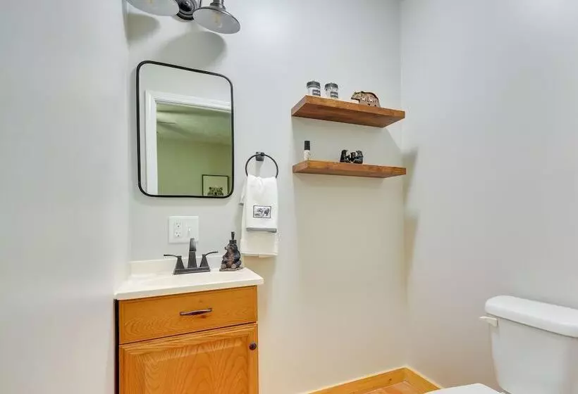 Mtn View + Fire Pit: Pet Friendly Woodlawn Cabin!