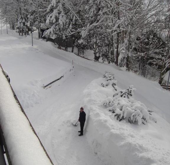 Hotel Apartment Austria