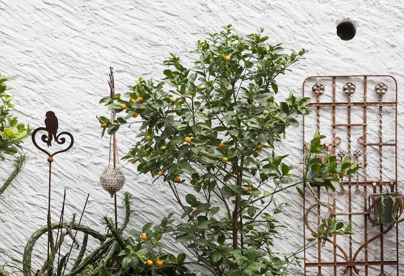 酒店 Caffè Dell Arte Boutique Rooms Locarno