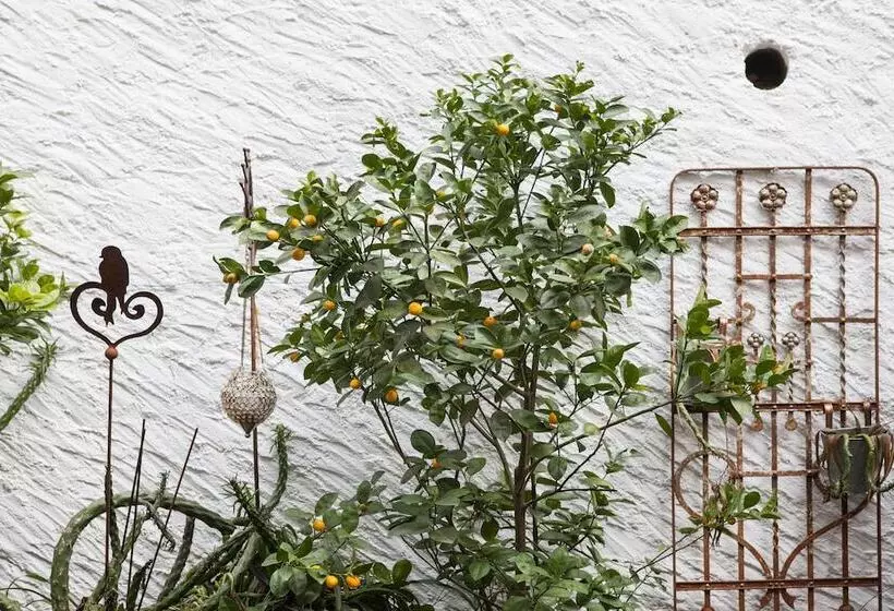 هتل Caffè Dell Arte Boutique Rooms Locarno