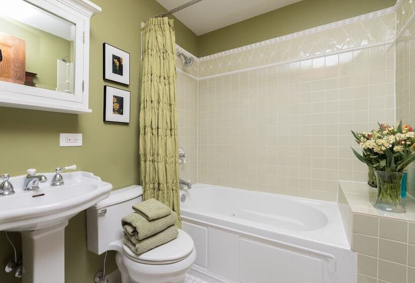 酒店 Chicago Guest House Wrigleyville